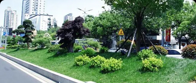 激活效能，数字化未来无限